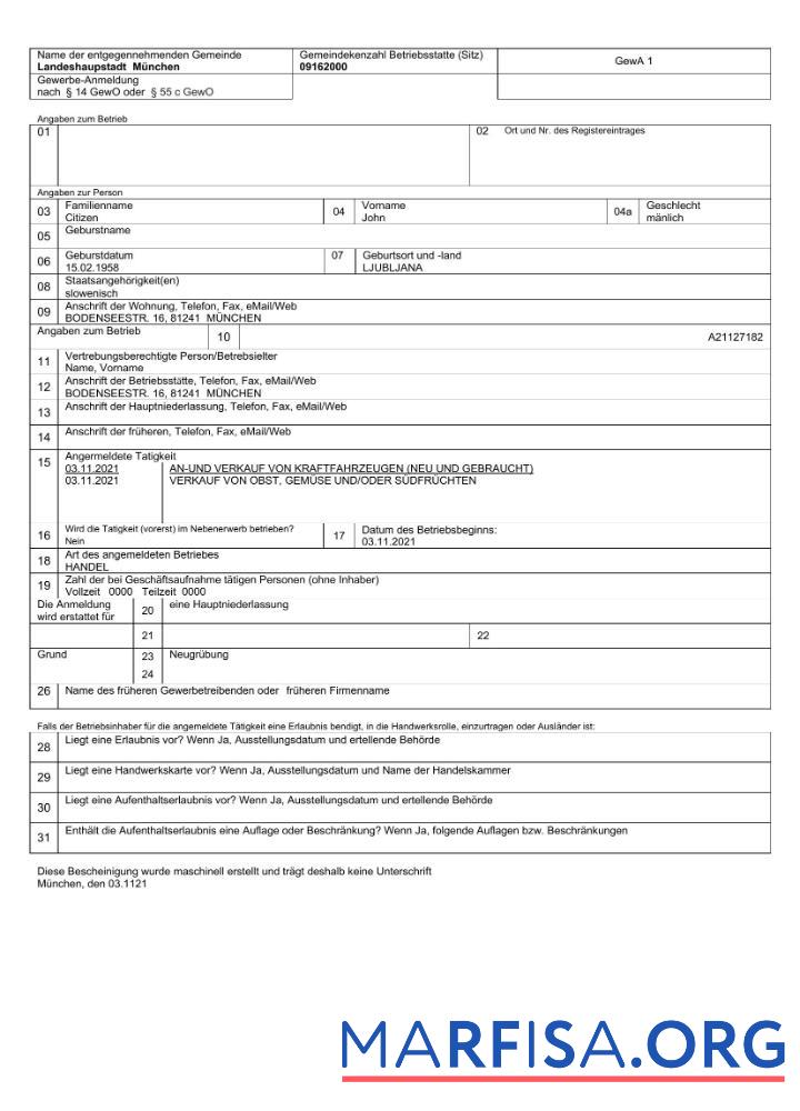 Printable Germany MunicipalityBusiness Registration Word and PDF template
